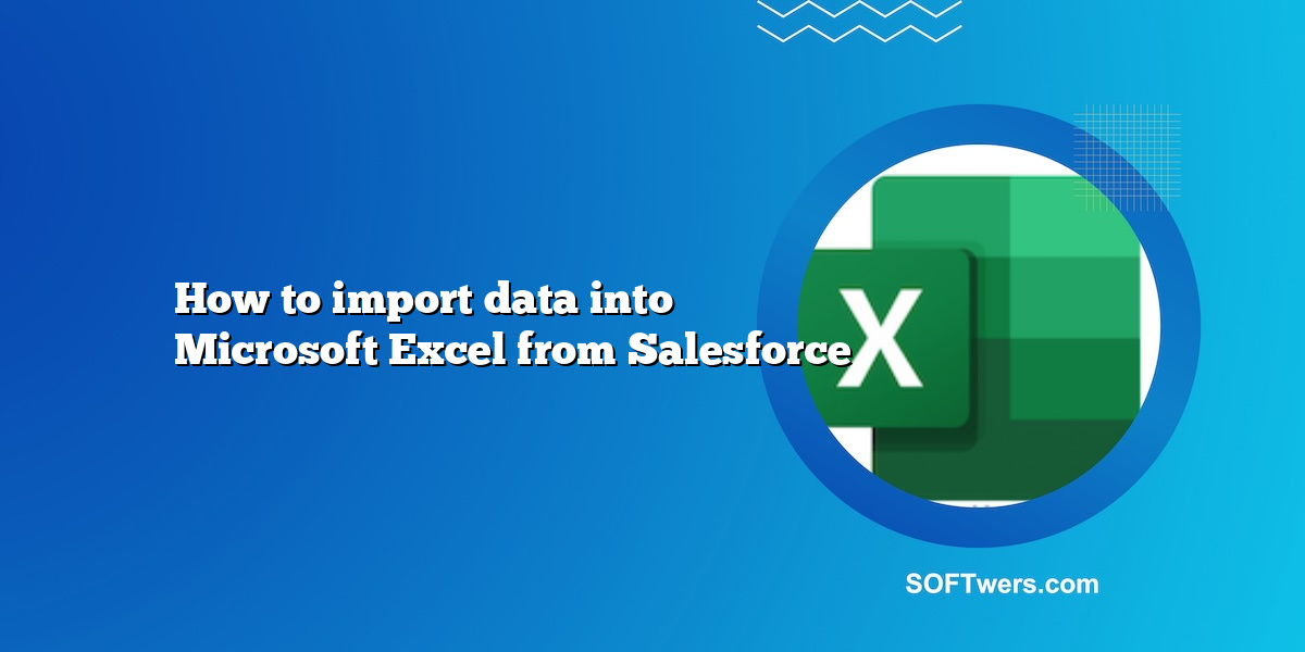 How to import data into Microsoft Excel from Salesforce